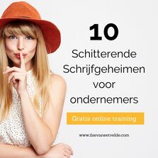Gratis online training 10 Schitterende Schrijfgeheimen voor Ondernemers www.ilsevaneetvelde.com